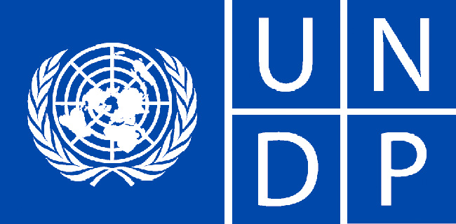 UNDP logo